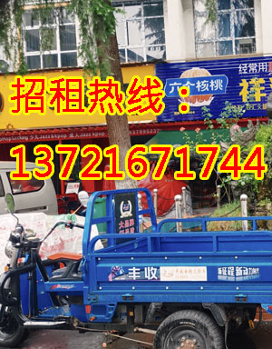 零号路1
